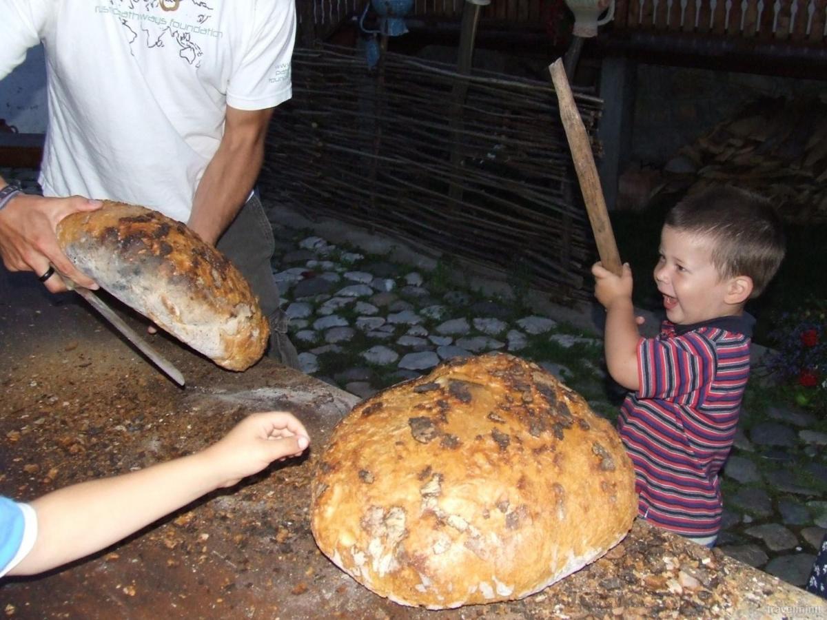 Pensiunea Aranyos Риметя Экстерьер фото